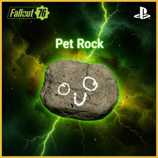 pet rock