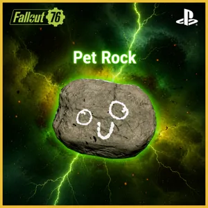 pet rock