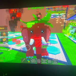 Strawberr elephant admin