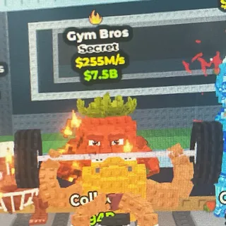 Gym Bros 255M