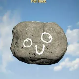 Misc - Pet Rock XBOX