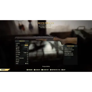 Weapon - Salt of the Earth *Legacy Survival Weapon* XBOX