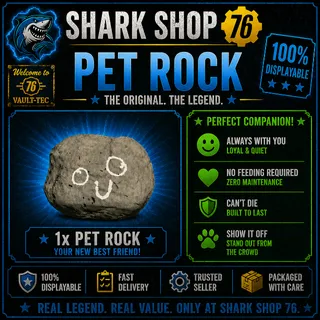 Misc - Pet Rock XBOX