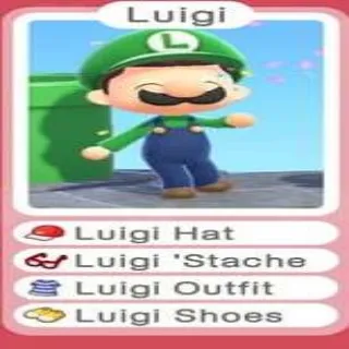 Luigi Set Bundle