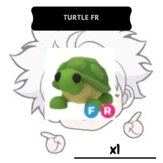 Turtle FR | AM