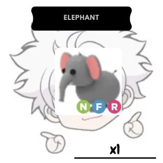 Elephant NFR | AM
