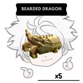 x5 Bearded Dragon| GAG