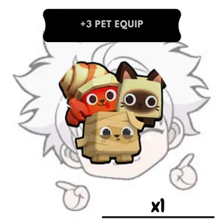 +3 Pet Equip | BTP