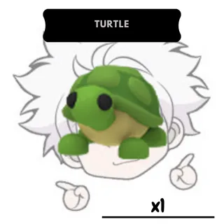 NR Turtle | AM
