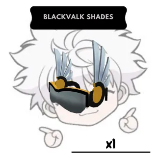 Blackvalk Shades | RL