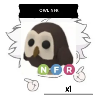  Owl NFR | AM
