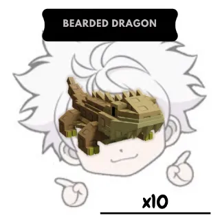 x10 Bearded Dragon| GAG