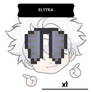 Elytra | DonutSMP