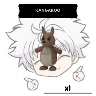 NFR Kangaroo | AM