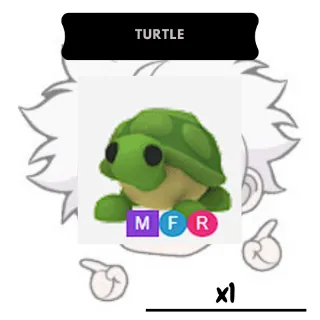 Turtle MFR | AM