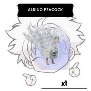 Albino Peacock | GAG