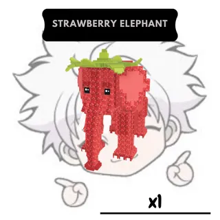 Strawberry Elephant | SAB