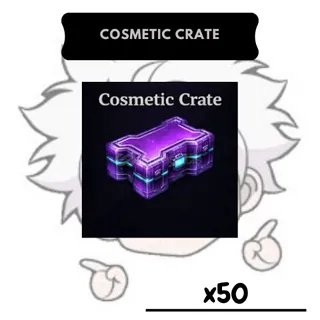 x50 Cosmetic Crate | SP 
