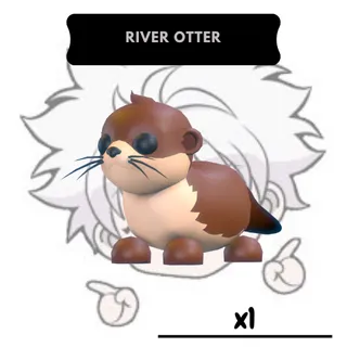 M River Otter | AM