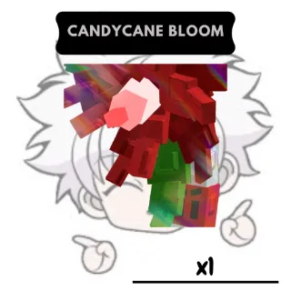 Candycane Bloom | GTD