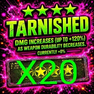 20 Tarnished Mods