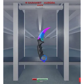 SNIPER DUELS| Aurora knife 