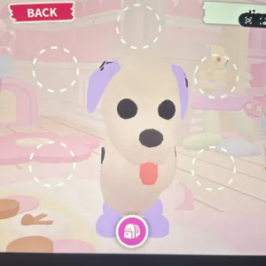 MFR DALMATION