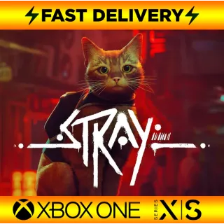 Stray - XBOX ACCOUNT [GLOBAL]