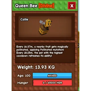 Queen bee