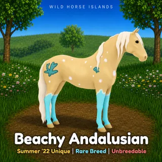Beachy Andalusian – WHI