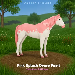 Pink Splash Overo Paint – WHI