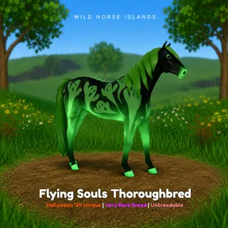 Flying Souls Thoroughbred – WHI