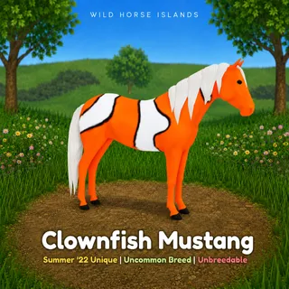 Clownfish Mustang – WHI