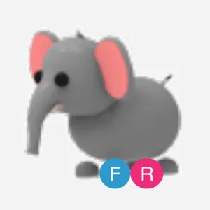 FR Elephant