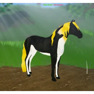 Emperor Penguin Andalusian