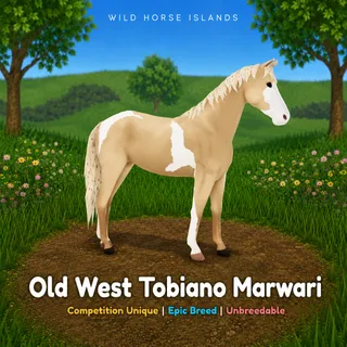 Old West Tobiano Marwari – WHI