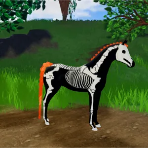 Skelly/Skeleton Arabian