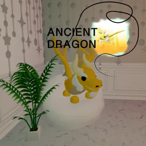 ANCIENT DRAGON NO POT!