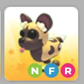 NFR African Wild Dog
