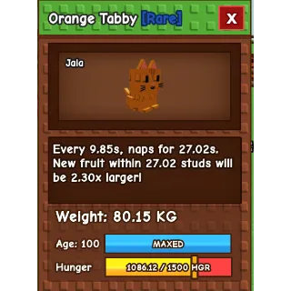 TITANIC ORANGE TABBY 80KG