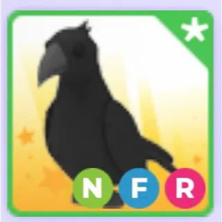 NFR Crow