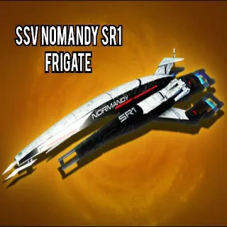 SSV NOMANDY SR1 FRIGATE
