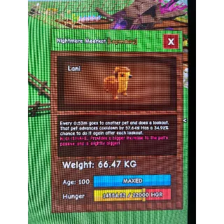 TITANIC NIGHTMARE MEERKAT 66KG