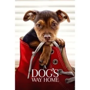 A Dog's Way Home MA SD
