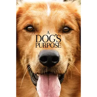A Dog's Purpose UHD MA