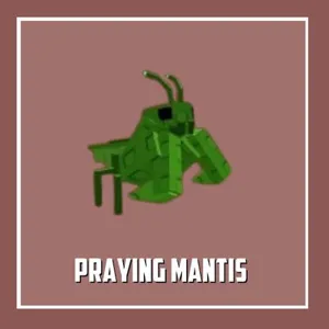 praying mantis