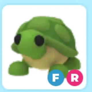 FR Turtle