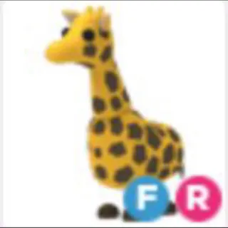 Pet | FR Giraffe