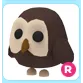 Pet | R owl