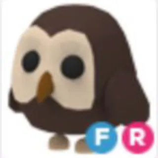 Pet | FR owl